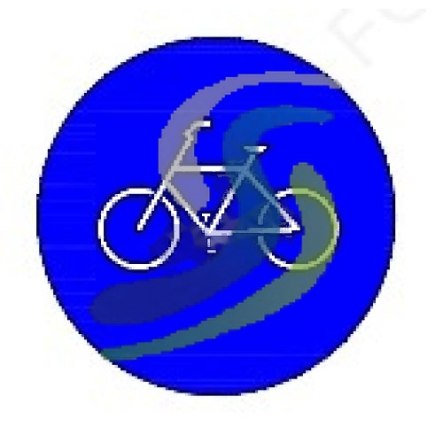 Cyclist Crossing